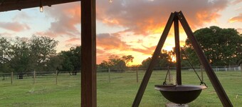 Horsing Around In the country