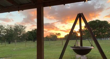 Horsing Around In the country