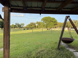 Property grounds - Horsing Around In the country (Dade City)