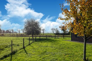 Terrain de l ’hébergement 