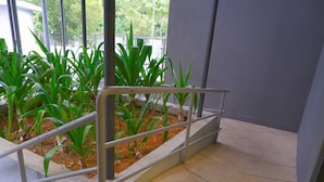 Jardines del alojamiento