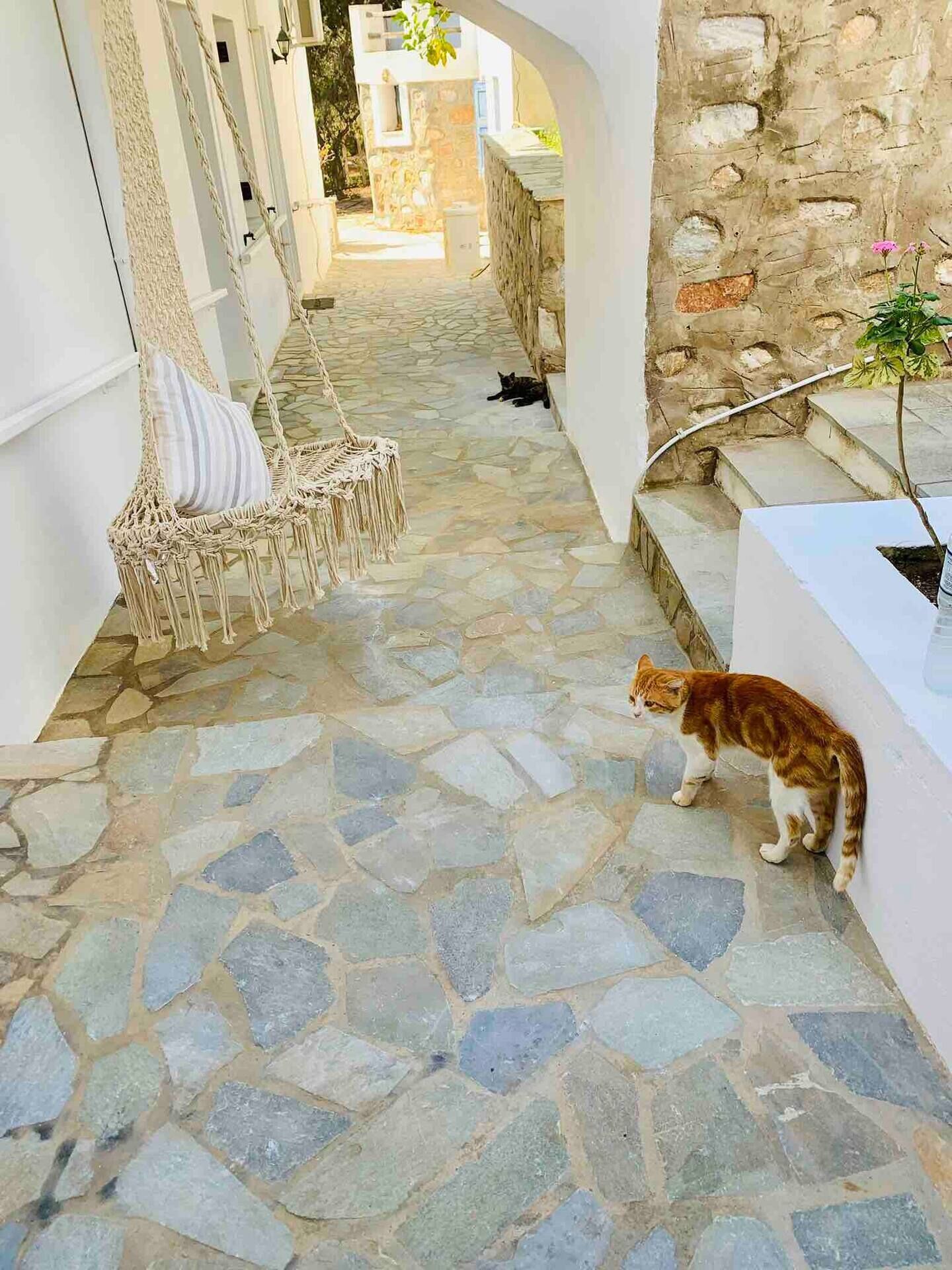 Communal area