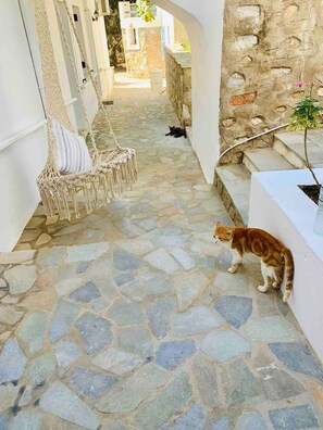 Enceinte de l’hébergement