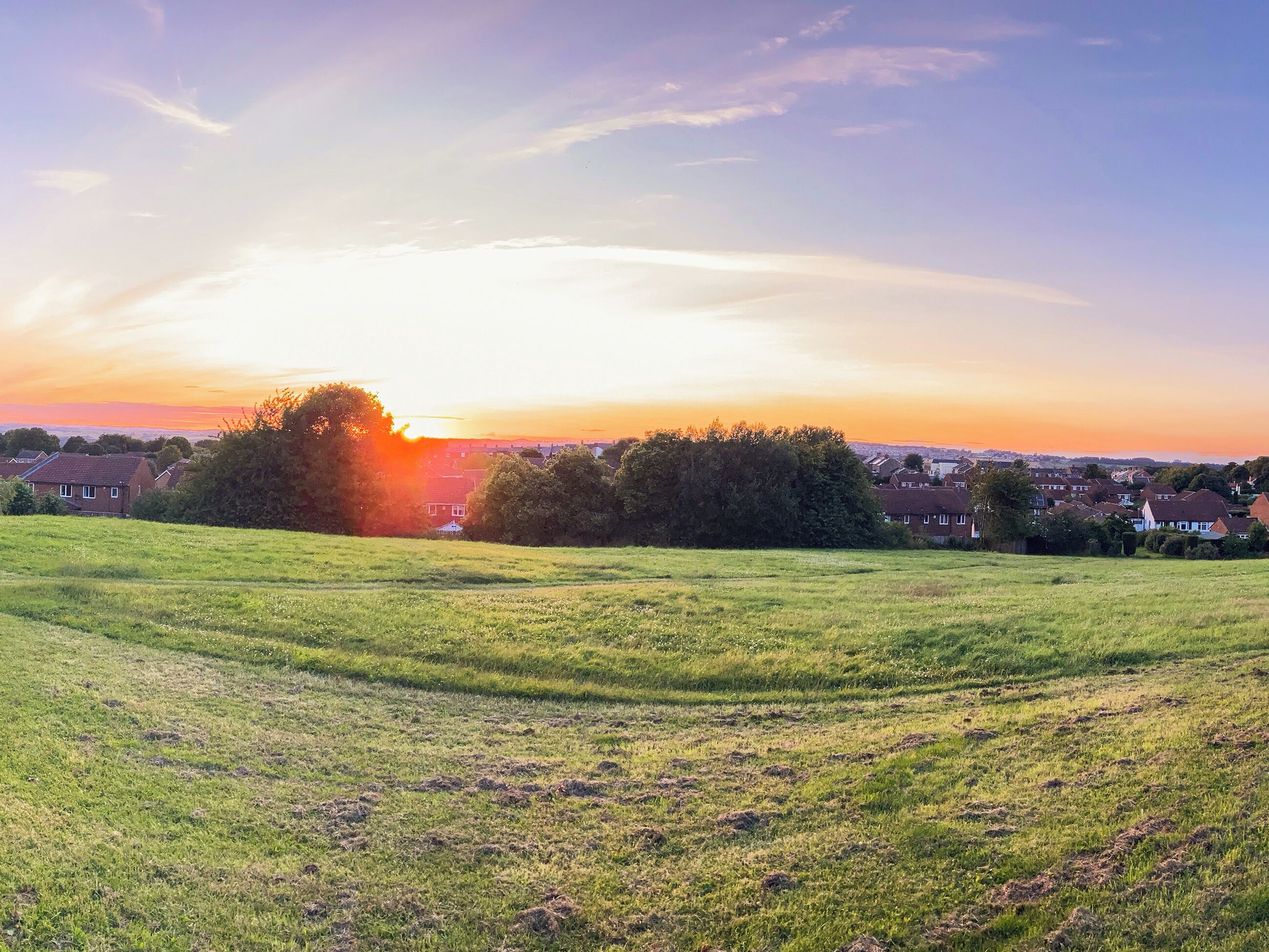 Een grasveld met huizen op de achtergrond.