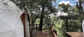 MANDALA CAMP
