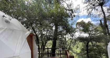 MANDALA CAMP