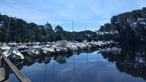 A marina with boats docked, surrounded by trees and a clear sky.