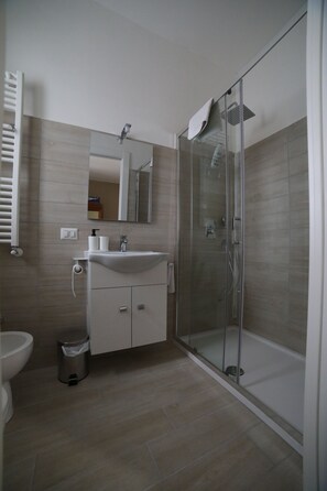 Chuveiro, secador de cabelo, bidê, toalhas de banho