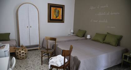 THE ARTISTS' DIMORIES Quadruple deluxe RIPACANDIDA