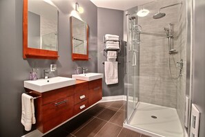 Shower, hair dryer, towels, toilet paper