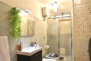 Shower, hair dryer, bidet, towels