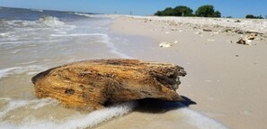 Ein großes Stück Treibholz an einem sandigen Strand, im Hintergrund der Ozean.