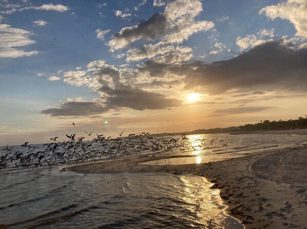 Beach