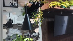 A modern kitchen with a black countertop, a hanging plant, and a hexagonal backsplash. - Modern studio Rua Frei Caneca /Region Av Paulista (Consolação São Paulo)