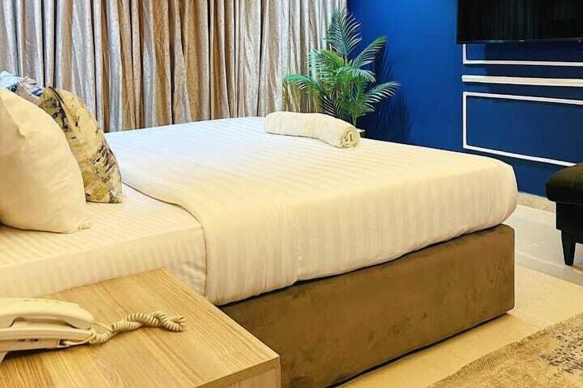 A modern bedroom with a large bed, a bedside table with a telephone, and a large potted plant.