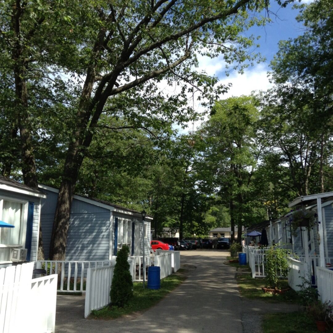 A row of mobile homes with white fences and trees in the background.