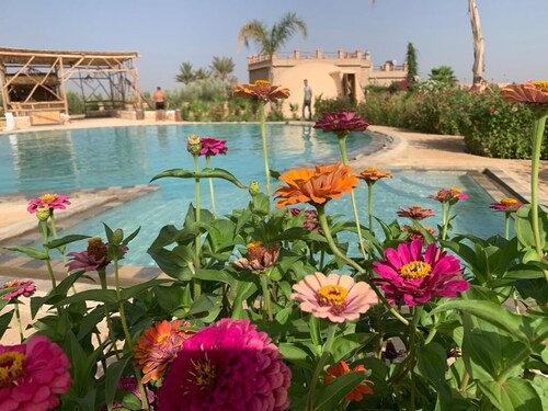 Yourtes Insolites et Entièrement Écologiques Avec Piscine