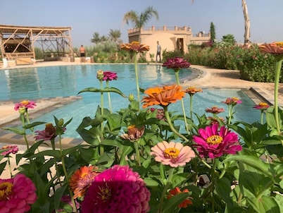 Yourtes Insolites et EntiĂšrement Ăcologiques Avec Piscine