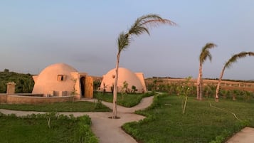 Jardines del alojamiento
