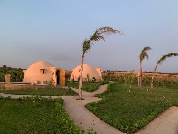 A pathway leading to dome-shaped buildings surrounded by greenery and palm trees.