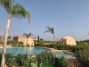 A pool surrounded by lush greenery and flowers, with palm trees and a dome-shaped building in the background.