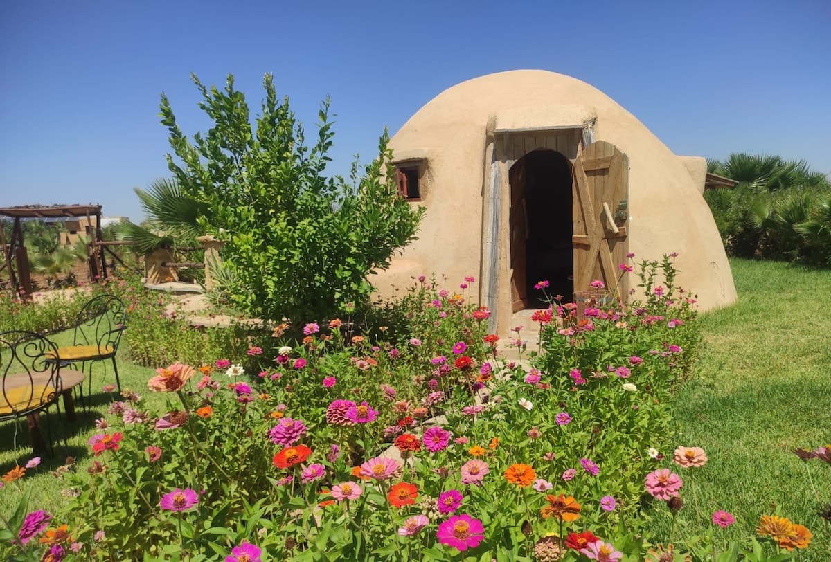 Imagem do perfil do anfitrião