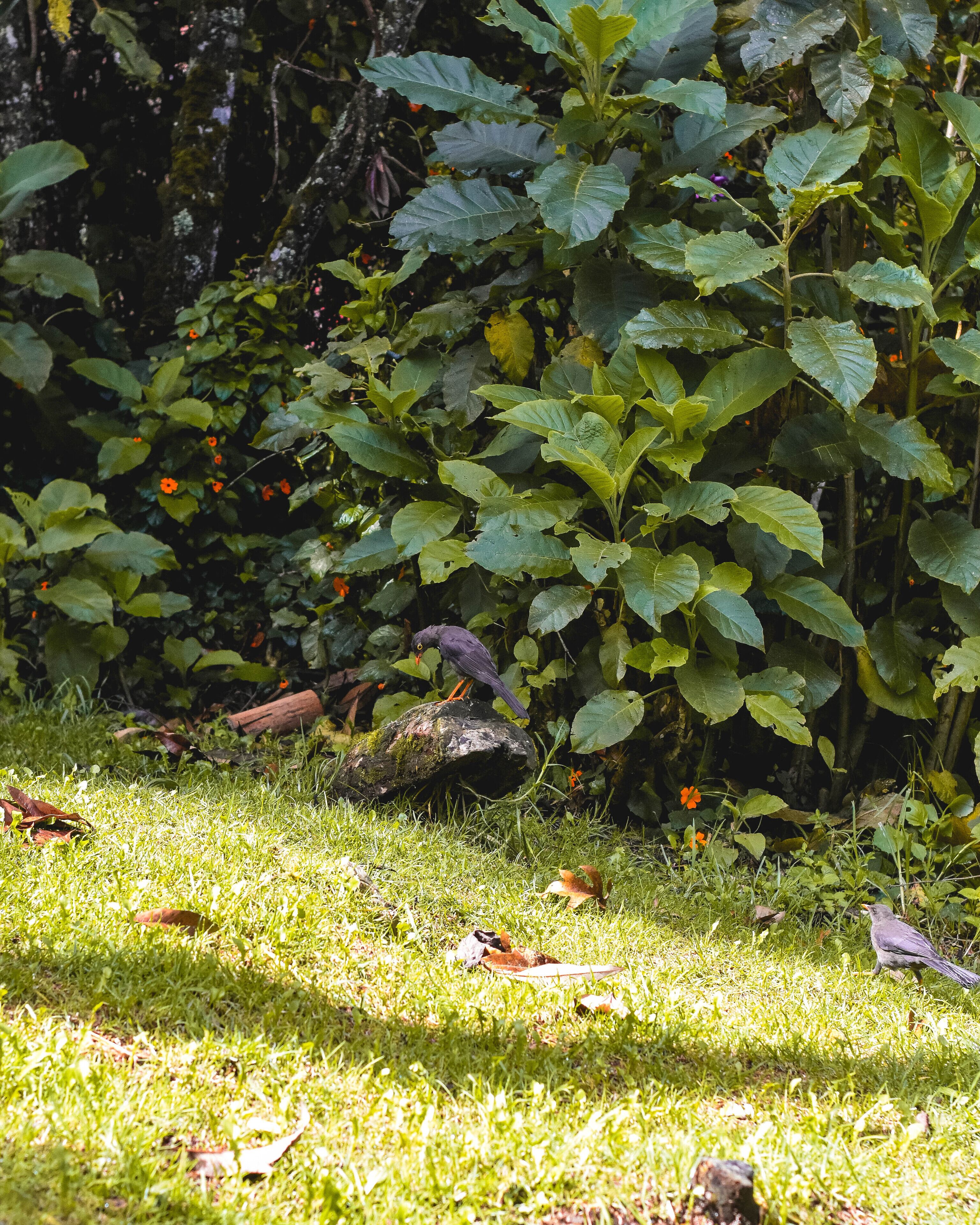 Foto - Casa Profunda - Santa Elena