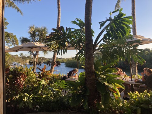 JUPITER FARMS TIKI PARADISE! Private, heated pool, Monarch butterfly garden.