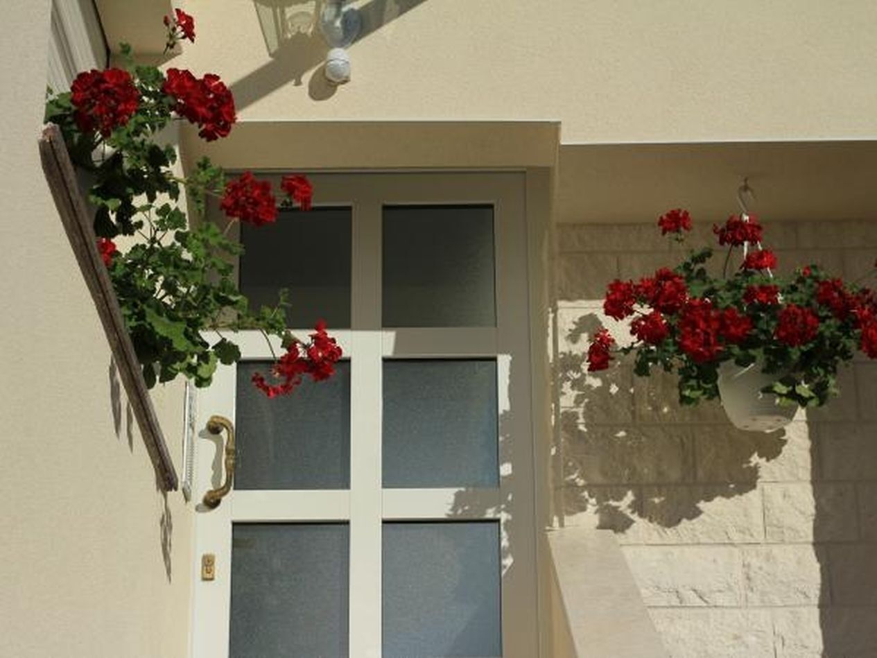 A door with frosted glass panels and a brass handle, flanked by red flowers.