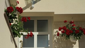 A door with frosted glass panels and a brass handle, flanked by red flowers.