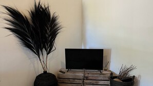 A minimalist living room with a flat-screen TV on a wooden crate, two large black vases with plants, and a fluffy beige rug on the floor. - Mirador Apartments (Willemstad)
