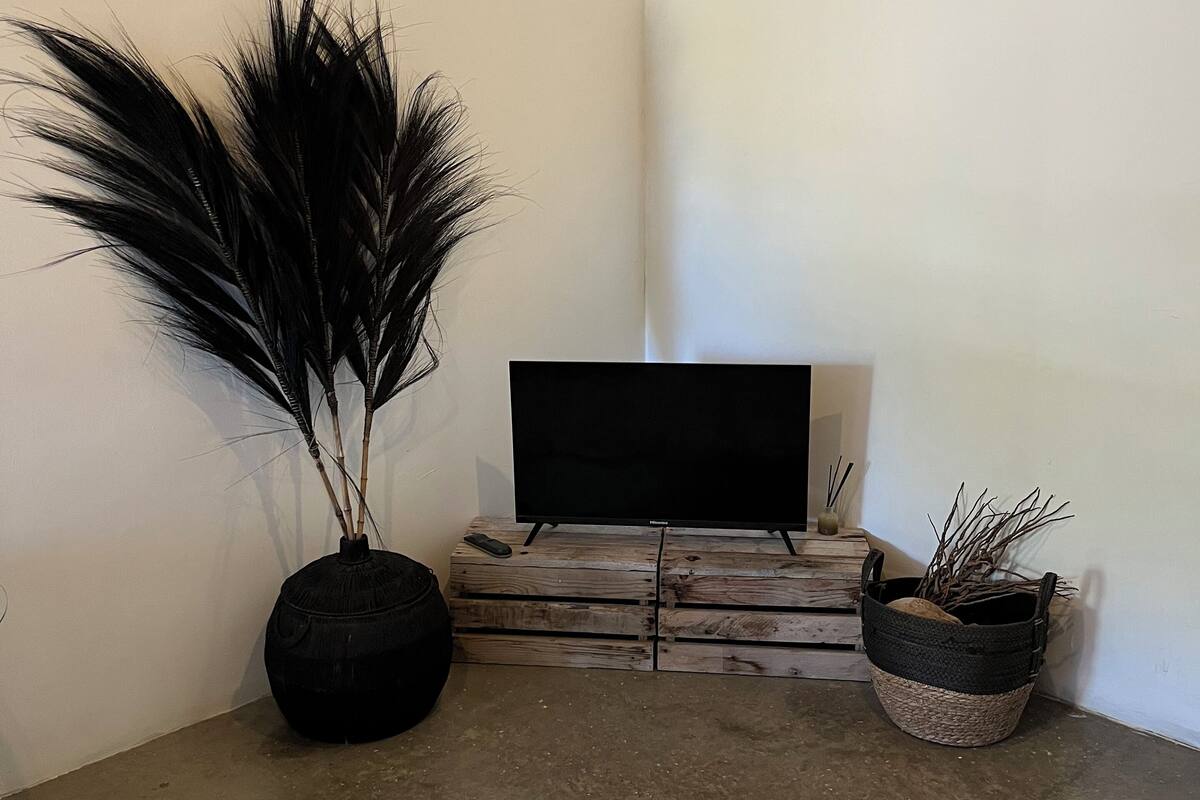 Minimalistinen olohuone, jossa on litteänäyttöinen televisio puisen laatikon päällä, kaksi suurta mustaa maljakkoa, joissa on kasveja, ja pehmeä, beigenvärinen matto lattialla.