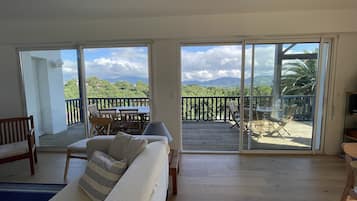 Télévision, table de tennis de table, livres, chaßne hi-fi