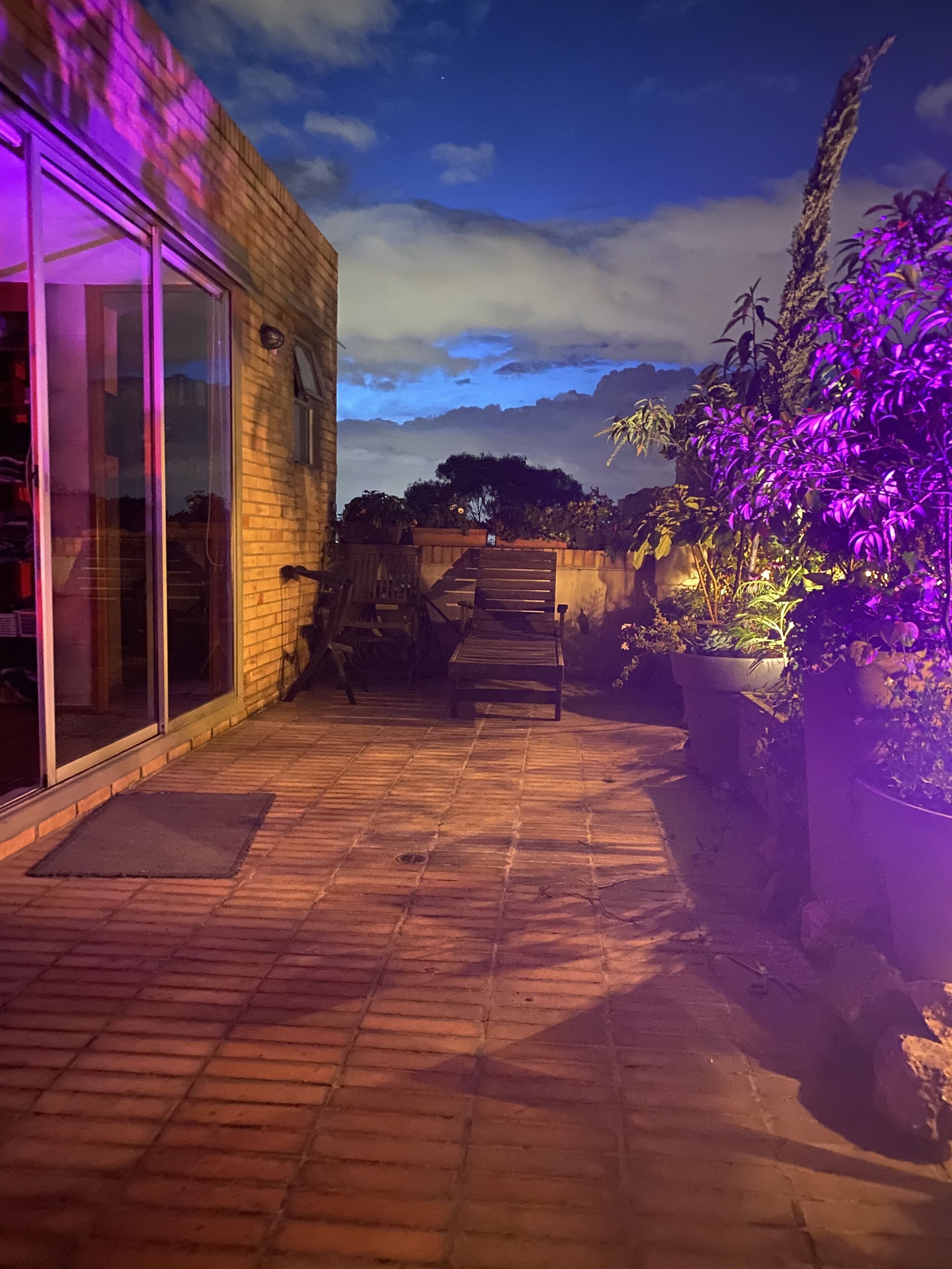 テラス / パティオ