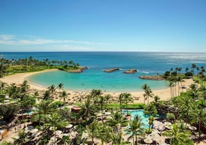 Un complexe hôtelier doté d’une plage, d’une piscine et de palmiers.