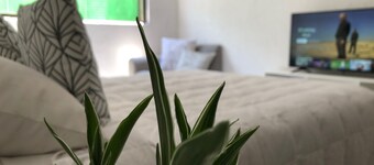 Frida Khalo NBHD, cozy, very clean, well connected to all points of the CDMX