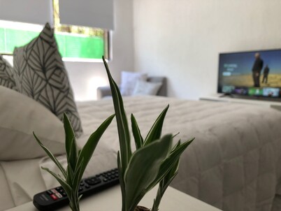 Frida Khalo NBHD, cozy, very clean, well connected to all points of the CDMX