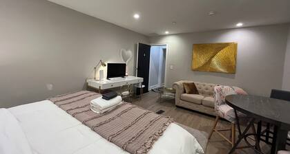 Whole Place 6 Bedroom 4 Bath - Sleeps 16 - 10m airport chs - D