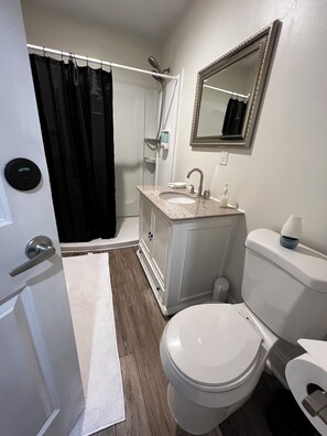 Shower, hair dryer, towels, soap