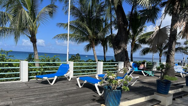 A wooden deck with blue lounge chairs, palm trees, and a view of the ocean.