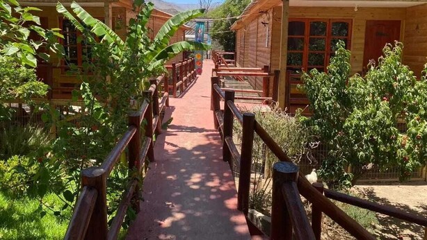 A pathway leading to wooden cabins with satellite dishes, surrounded by greenery and fruit trees. - Parcela Los Nonos (Vicuña)