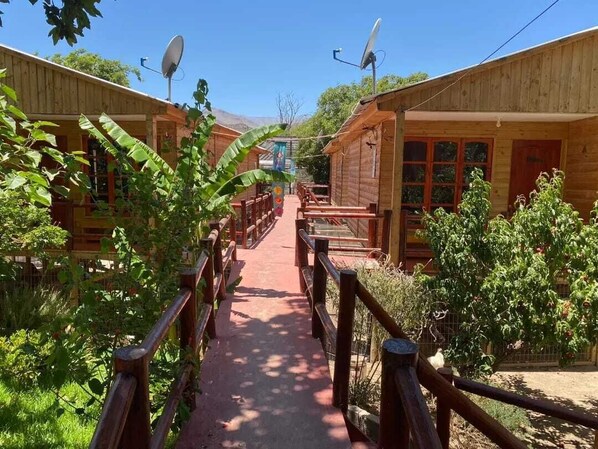 Exterior - Parcela Los Nonos (Vicuña)