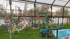An indoor enclosure with a grassy area, a pool with a pink flamingo, and various colorful structures. - Parcela Los Nonos (Vicuña)
