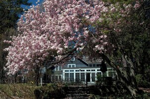 Vistas al campo desde el alojamiento