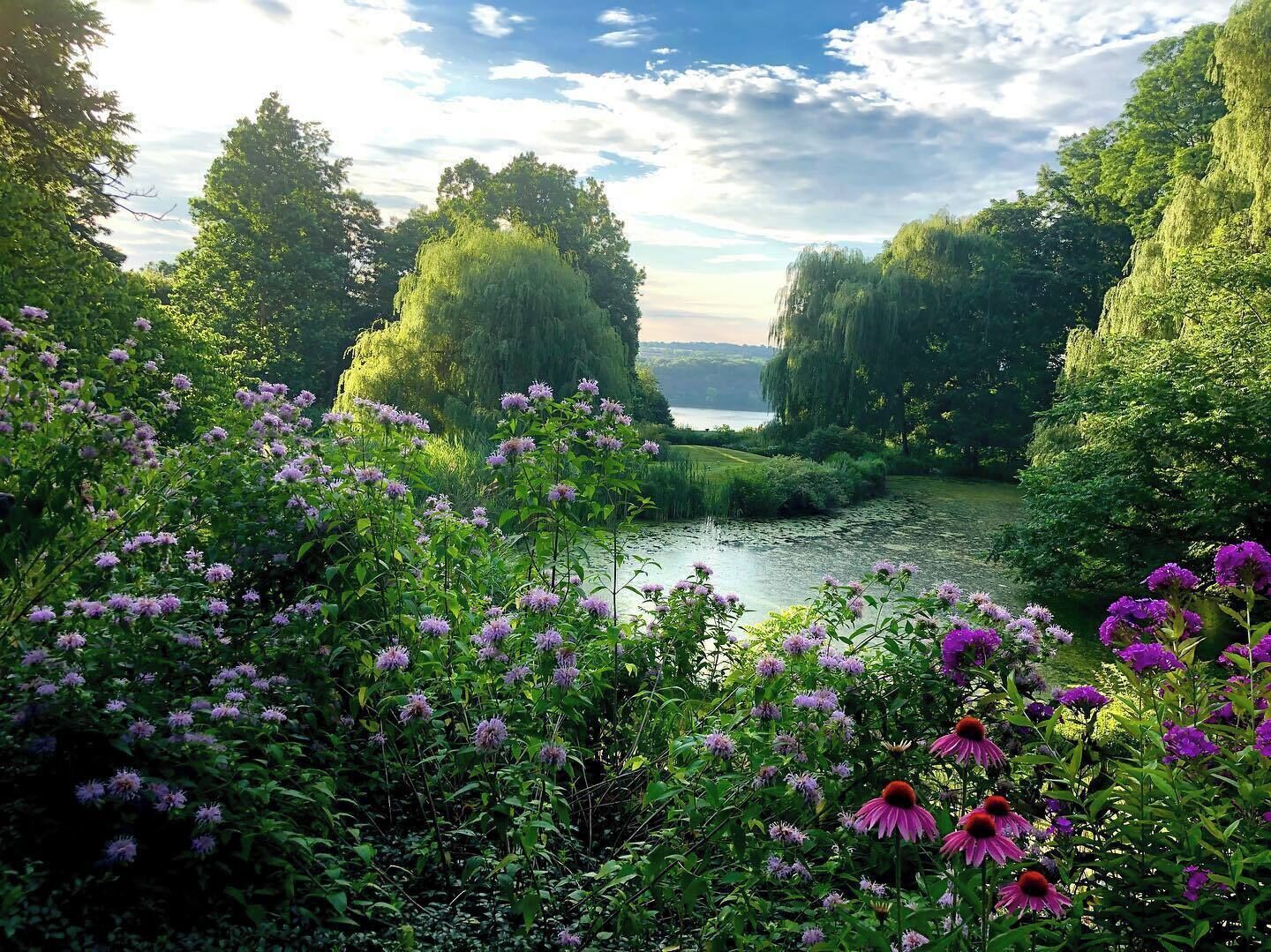 A serene landscape with a river, dense greenery, and flowering plants.