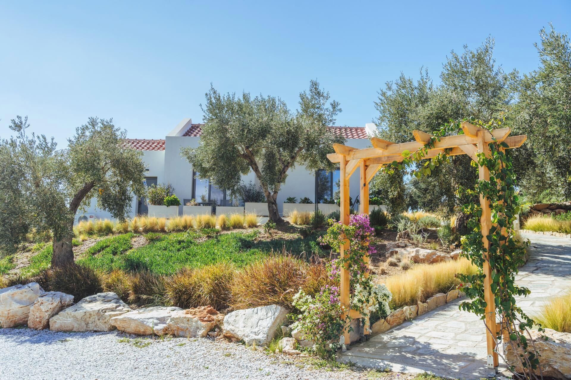 A garden with a pergola, olive trees, and a white building with a red-tiled roof.