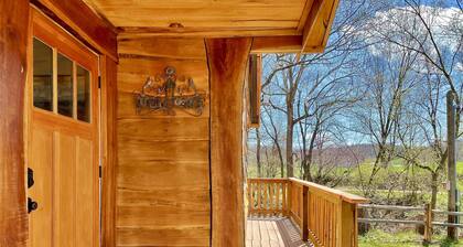 Bluebird Hollow is a cozy little home in the woods