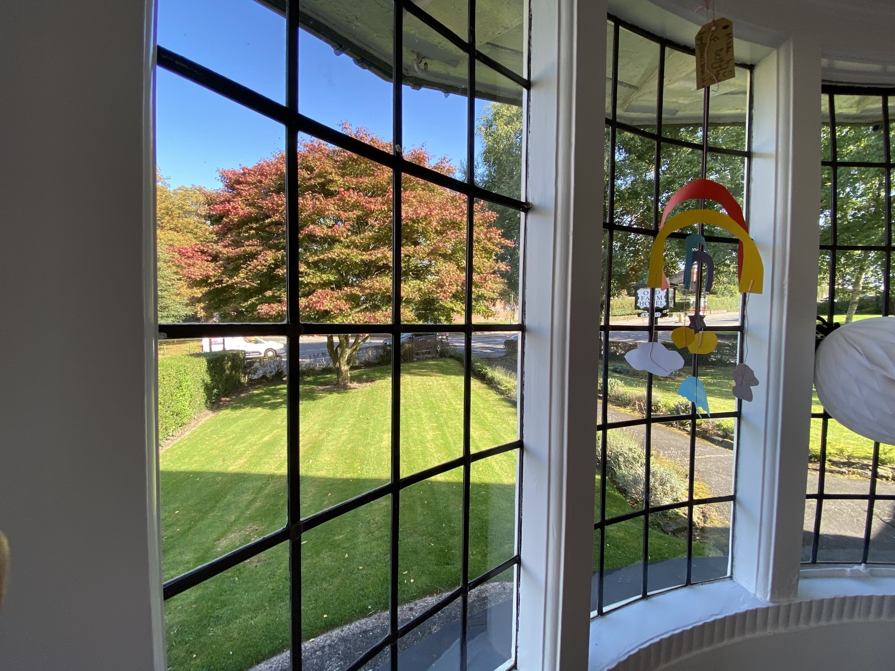 A view through a window with a grid pattern, a grassy yard, and a tree with red leaves.