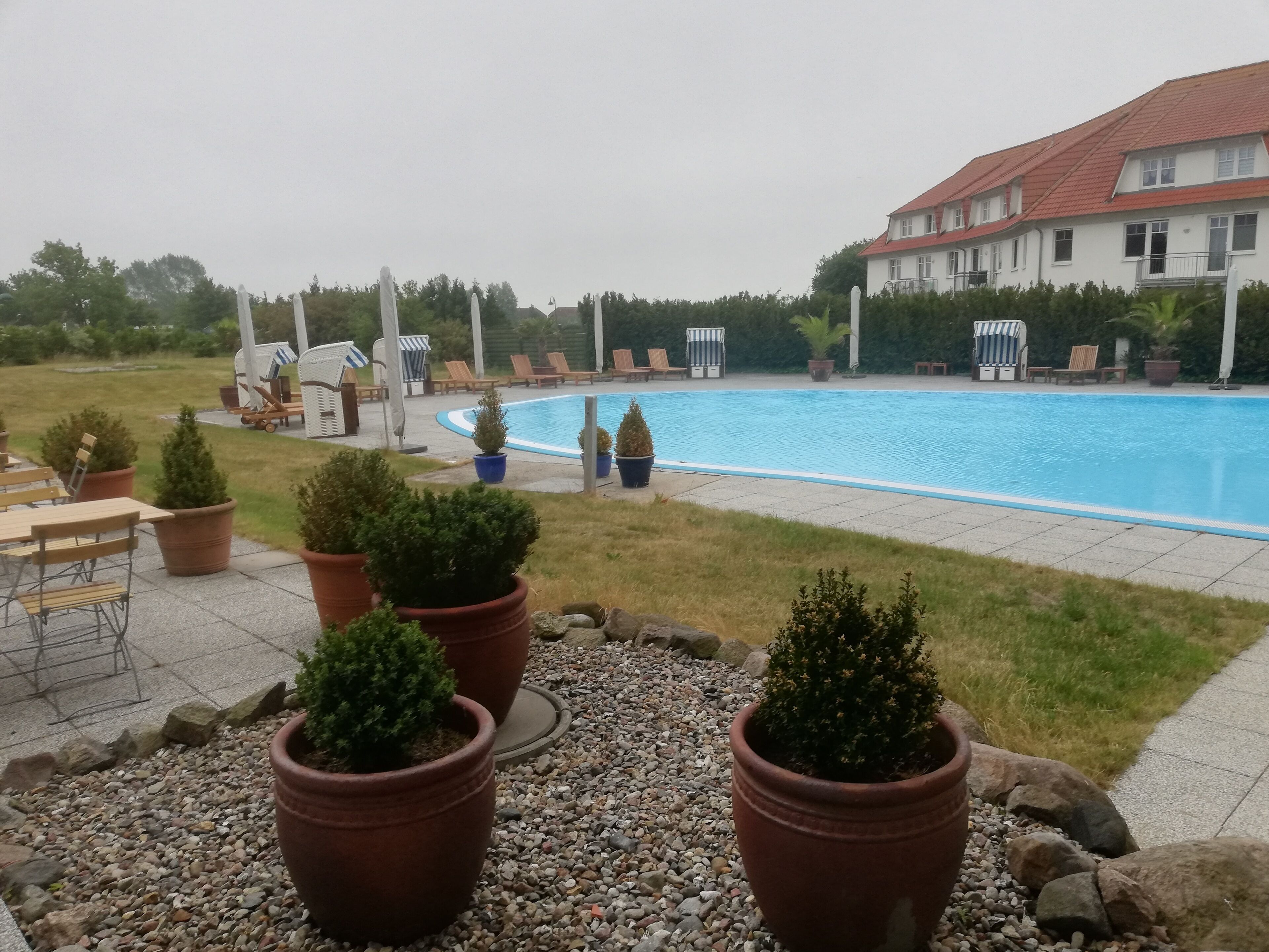 Une piscine entourée de chaises longues et de plantes en pot.