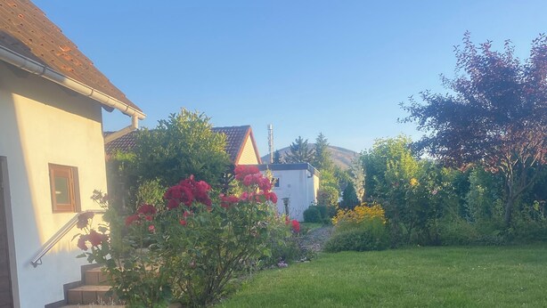 Un giardino curato con bordura in pietra, prato verde e diverse piante e fiori.